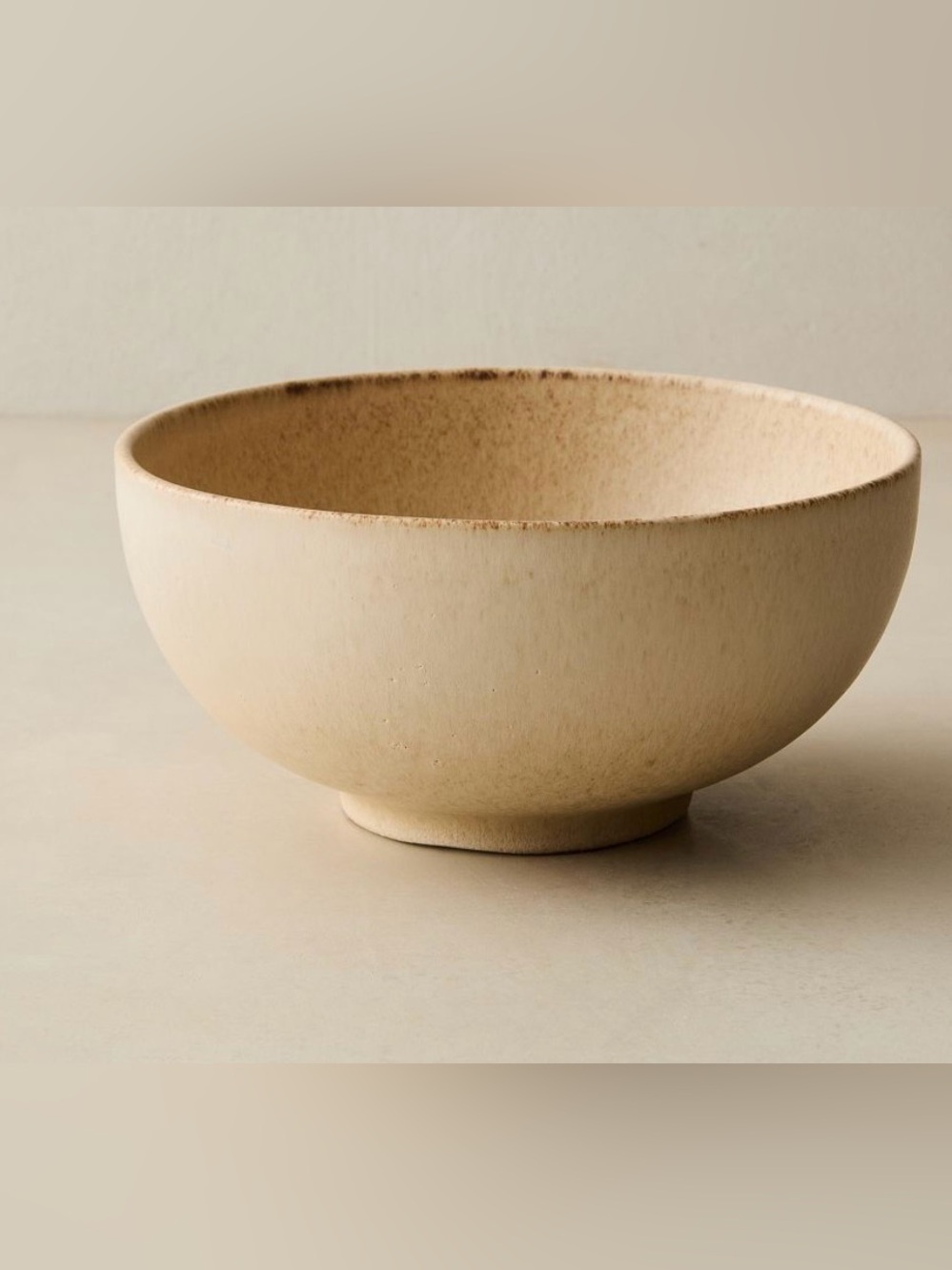 West Elm Kanto Stoneware Ramen Bowl Sets of Two